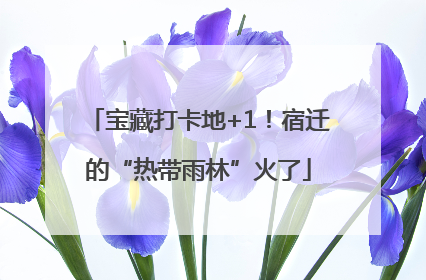 宝藏打卡地+1！宿迁的“热带雨林”火了