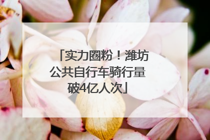 实力圈粉！潍坊公共自行车骑行量破4亿人次