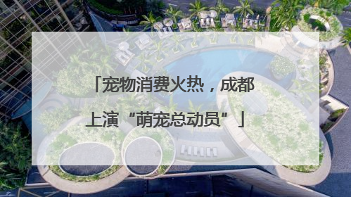 宠物消费火热，成都上演“萌宠总动员”