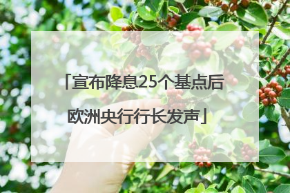 宣布降息25个基点后 欧洲央行行长发声