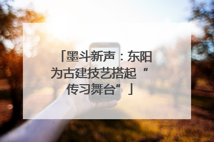 墨斗新声：东阳为古建技艺搭起“传习舞台”