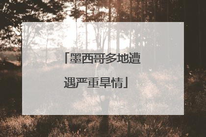墨西哥多地遭遇严重旱情