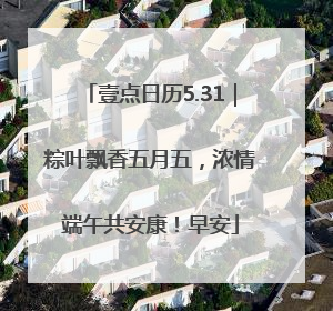壹点日历5.31｜粽叶飘香五月五，浓情端午共安康！早安