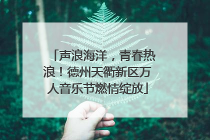 声浪海洋，青春热浪！德州天衢新区万人音乐节燃情绽放