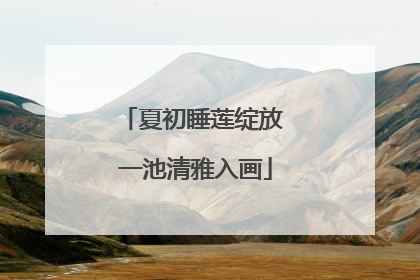 夏初睡莲绽放 一池清雅入画
