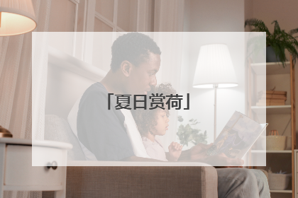 夏日赏荷
