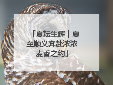 夏耘生辉｜夏至顺义奔赴浓浓麦香之约