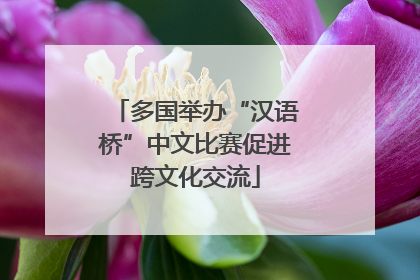 多国举办“汉语桥”中文比赛促进跨文化交流