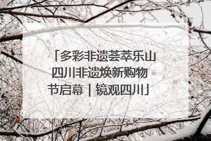 多彩非遗荟萃乐山 四川非遗焕新购物节启幕｜镜观四川