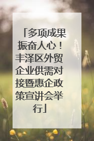 多项成果振奋人心！丰泽区外贸企业供需对接暨惠企政策宣讲会举行