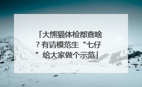 大熊猫体检都查啥？有请模范生“七仔”给大家做个示范