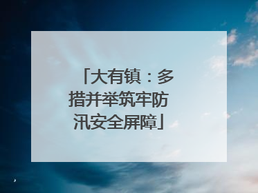 大有镇：多措并举筑牢防汛安全屏障