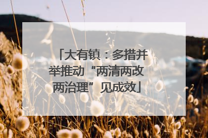 大有镇：多措并举推动“两清两改两治理”见成效