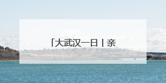 大武汉一日丨亲测有效，公交车上这波操作必须夸