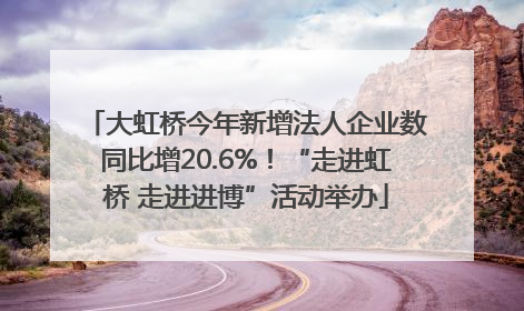 大虹桥今年新增法人企业数同比增20.6%！“走进虹桥 走进进博”活动举办
