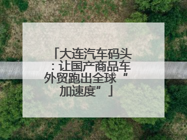 大连汽车码头：让国产商品车外贸跑出全球“加速度”