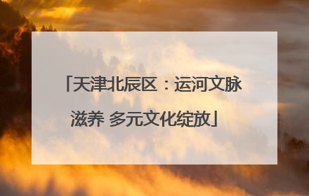 天津北辰区：运河文脉滋养 多元文化绽放