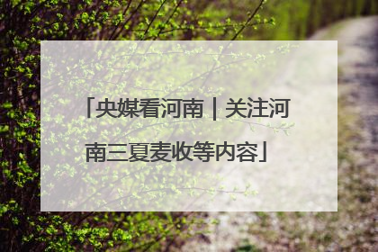央媒看河南｜关注河南三夏麦收等内容