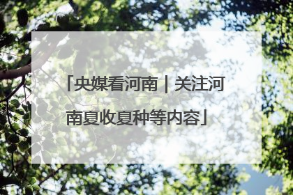 央媒看河南｜关注河南夏收夏种等内容