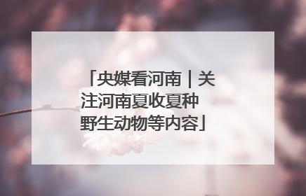 央媒看河南｜关注河南夏收夏种 野生动物等内容