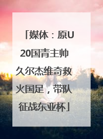 媒体：原U20国青主帅久尔杰维奇救火国足，带队征战东亚杯