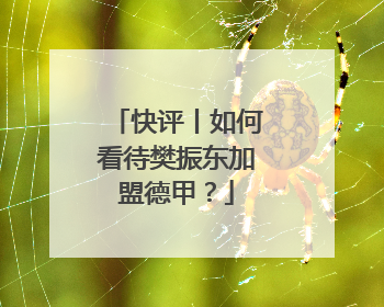 快评丨如何看待樊振东加盟德甲？
