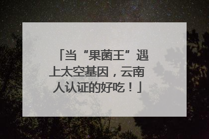 当“果菌王”遇上太空基因，云南人认证的好吃！