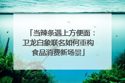 当辣条遇上方便面：卫龙白象联名如何重构食品消费新场景