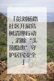 彭刘杨路社区开展危树清理行动，消除“头顶隐患”守护居民安全