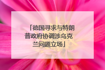 德国寻求与特朗普政府协调涉乌克兰问题立场