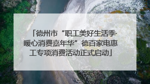 德州市“职工美好生活季·暖心消费嘉年华”德百家电惠工专项消费活动正式启动