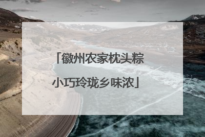 徽州农家枕头粽 小巧玲珑乡味浓
