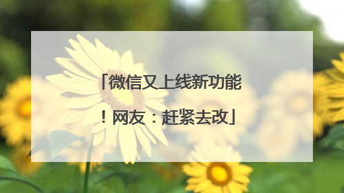 微信又上线新功能！网友：赶紧去改