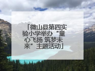 微山县第四实验小学举办“童心飞扬 筑梦未来”主题活动