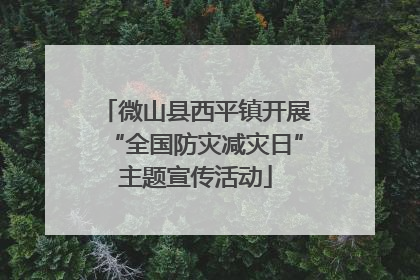 微山县西平镇开展“全国防灾减灾日”主题宣传活动