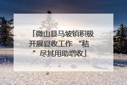微山县马坡镇积极开展夏收工作 “秸”尽其用助增收