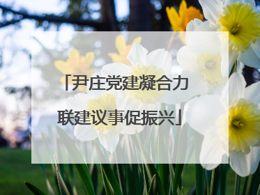 尹庄党建凝合力 联建议事促振兴
