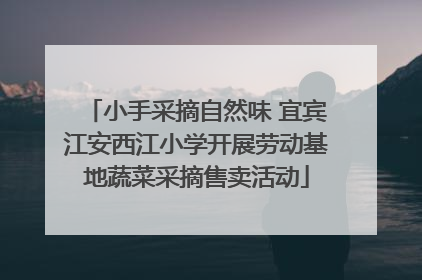 小手采摘自然味 宜宾江安西江小学开展劳动基地蔬菜采摘售卖活动