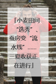 小麦田间“选秀”、蚕房变“流水线”……三夏收获正在进行