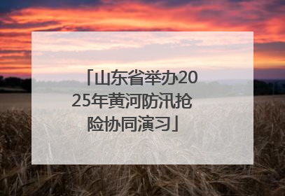 山东省举办2025年黄河防汛抢险协同演习