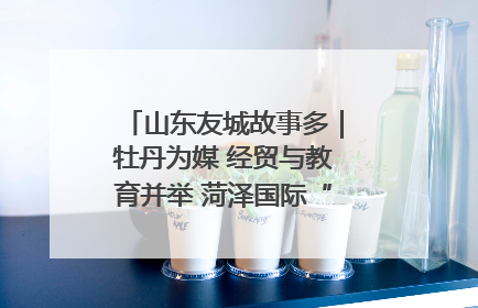 山东友城故事多｜牡丹为媒 经贸与教育并举 菏泽国际“朋友圈”扩容升级