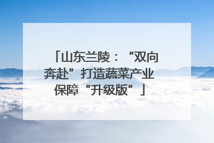 山东兰陵：“双向奔赴”打造蔬菜产业保障“升级版”