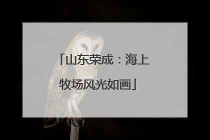 山东荣成：海上牧场风光如画