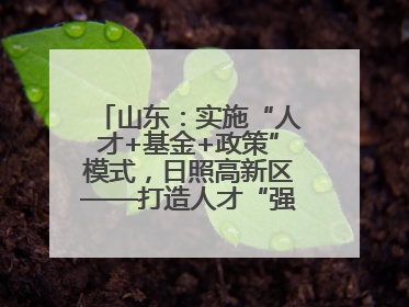 山东：实施“人才+基金+政策”模式，日照高新区——打造人才“强磁场”