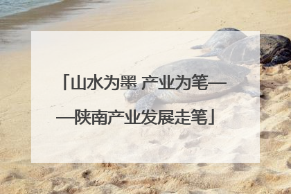 山水为墨 产业为笔——陕南产业发展走笔