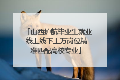 山西护航毕业生就业 线上线下上万岗位精准匹配高校专业