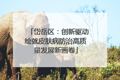 岱岳区：创新驱动绘就皮肤病防治高质量发展新画卷