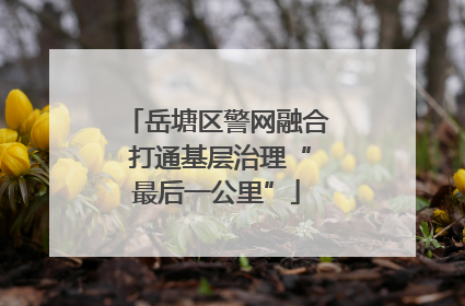 岳塘区警网融合 打通基层治理“最后一公里”