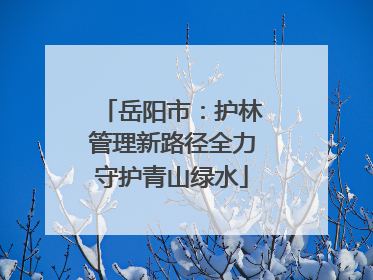 岳阳市：护林管理新路径全力守护青山绿水
