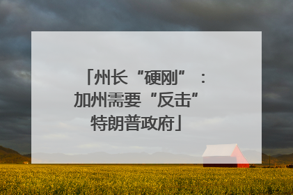 州长“硬刚”：加州需要“反击”特朗普政府